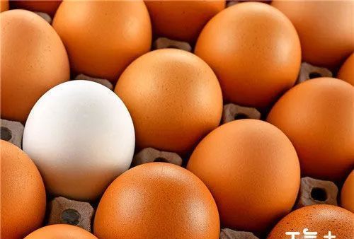 煮好的鸡蛋可以存放多久呢