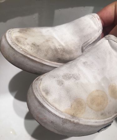 刷的鞋子潮湿发出的臭味怎么去除