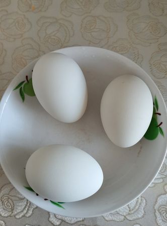 胎鹅蛋煮多久能煮熟