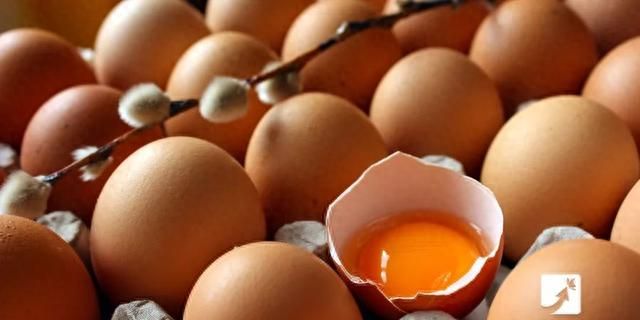 吃了这么多年鸡蛋，才知道这10种蛋要少吃！