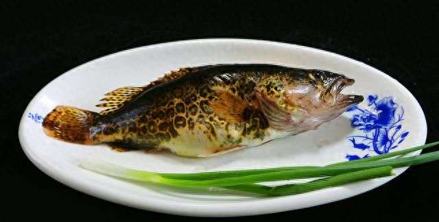 野生桂鱼不一样的做法，看看大厨是怎么操作的，看完食欲大增