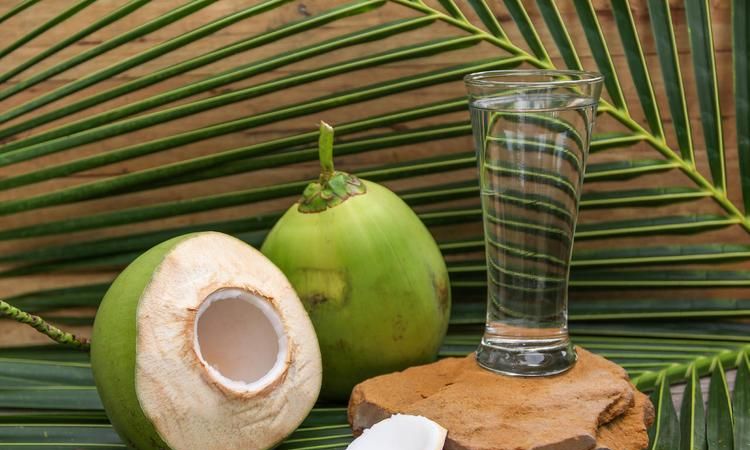 椰子水属于碱性水果吗