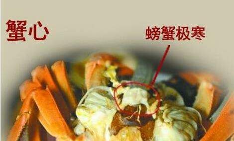 螃蟹壳里面的东西都能吃吗