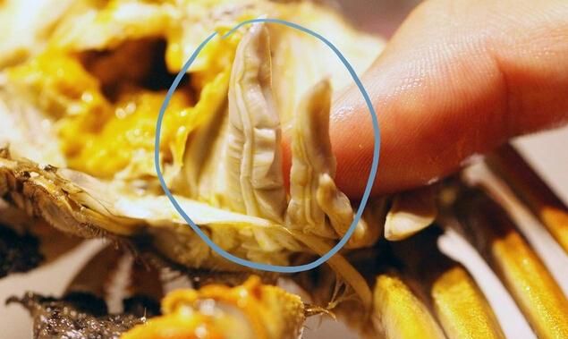 螃蟹苗能吃吗