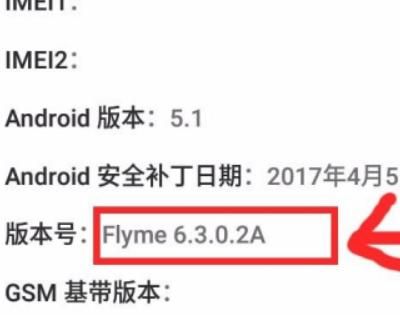 魅族flyme6系统怎么打开开发者选项，魅族手机怎么开启开发者模式？图4