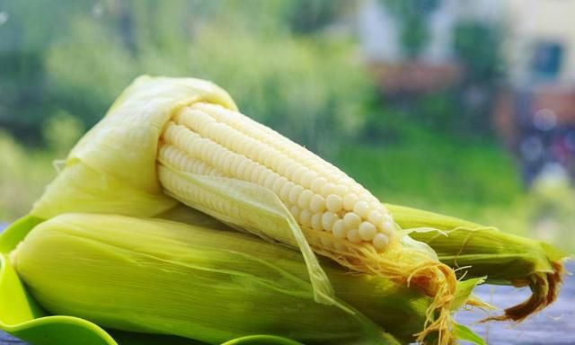 玉米最有营养的部位 很多人都浪费了