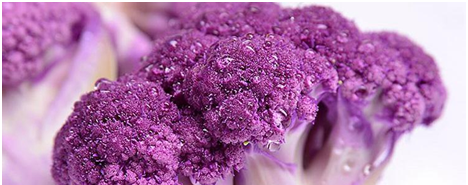 紫色的花菜你敢吃吗？