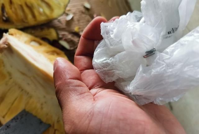 怎么清洗干净手上沾有的菠萝蜜树胶？以下这四种方法最实用