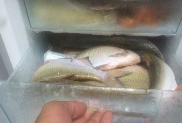 鱼存放冰箱多久不能食用图2