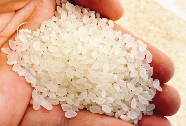 现在才知道，原来保存大米这么简单，放一年都不生虫，不懂真可惜