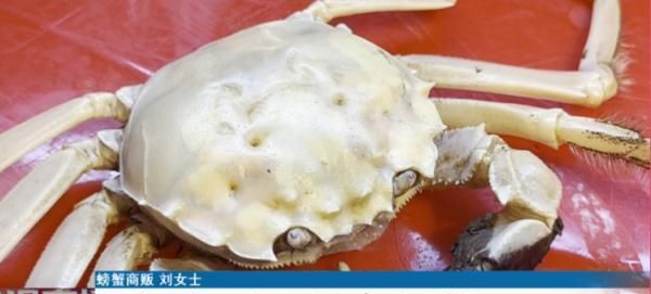 商贩打捞起全身白色螃蟹，专家：最好不要食用